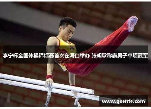 李宁杯全国体操锦标赛首次在海口举办 张明珍称霸男子单项冠军